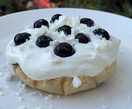 Coconut Blueberry Snack Cake
