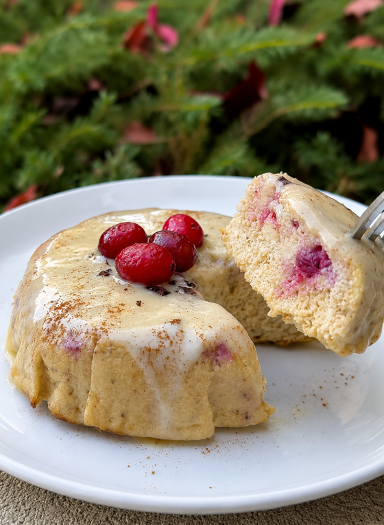 Super Moist Apple Cranberry Protein Cake